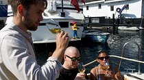 Private Copenhagen Harbor Cruise with Wine Tasting