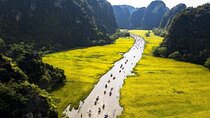 Private/Shared Group Ninh Binh: Hoa Lu, Trang An, Mua Cave
