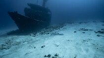 Half Day Dive Trip to the Cozumel reef