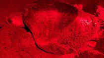 Sea Turtle Nesting and Hatching Tour Samara and Carrillo