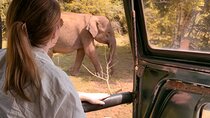 Yala National Park Safari FULLDAY and HALFDAY Expert Guided Tour 
