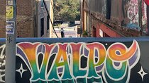 Private Valparaiso Wine and Tasting Tour 