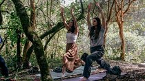 Private Yoga and Sonotherapy Session in the Sacred Valley