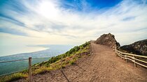 Vesuvio Skip the Line Ticket and Guidebook