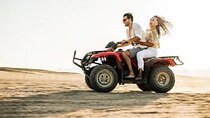 ATV Quad 3 Hours Safari & Camel Ride W/Transfer - Sharm El Sheikh