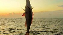 Private Boat 24 Hours Fishing Trip with Snorkeling - Hurghada