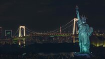 Tokyo After Dark Scenic Night Tour