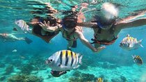 Sail to Orange Island Snorkeling Adventure, Water Sports & Lunch
