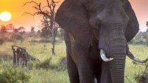15 Day Tour Johannesburg to Cape Town and Garden Route Tour