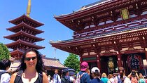One Day Highlights Tour of Tokyo including Shibuya Sky Tickets