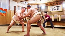 Tokyo Sumo Experience with Live Show & Audience Challenge