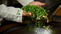 Authentic Hangzhou Longjing Tea Culture Experience Tour