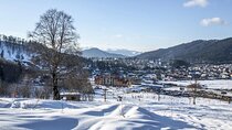  Borjomi Bus Tour from Tbilisi
