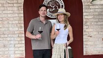 Half day Tour Visit 2 Wineries & Unlimited Wine. Private Transfer
