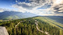 Dunajec River Gorge Rafting and Tree Top Walk from Krakow