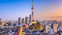 Tokyo Private City Tour With English Driver