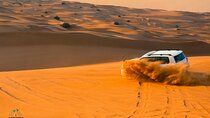 Premium Desert Safari with BBQ Dinner and Live Shows