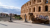 AYO VIP TOUR: Discover El Jem – Tunisia’s Ancient Arena