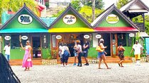 Bob Marley Nine Mile Admission and Guided Tour from Ocho Rios 