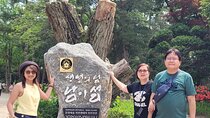 Customized Private Nami island with optional tour