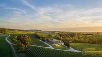 Phoenix Vortex to Vineyard Shared Tour