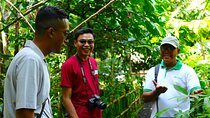 Highlight of Bali Tour