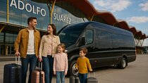 Private Transfer to Toledo or Segovia from Madrid