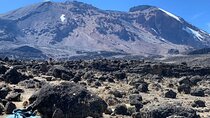 8 Day Lemosho Route Kilimanjaro Climb with Expert Guides