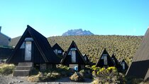6 Days Kilimanjaro Climb via Marangu Route with Acclimatization