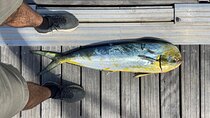 Sea Fishing Experience in the Bay of Biscay