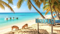 Bimini or Grand Bahama Island by Ferry