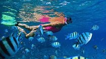 Hurghada Scuba Adventure: Discover the Treasures of the Red Sea.