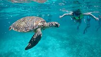 Mayan snorkeling (Akumal-Cenote-Caverna)