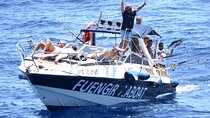 Shared Fishing Trip in Fuengirola