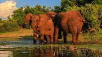 12 Days South Africa Safari from Johannesburg to Cape Town