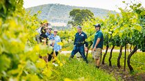 Small-Group Hunter Valley Wine Tasting Tour from Sydney