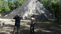 Coba and Punta Laguna Guided Birdwatching Private Tour 