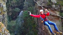 2 Day Cape Escape: Whale Coast, Penguins & Zipline Adventure