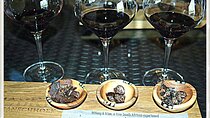 Stellenbosch & Franschhoek Wine Tasting Private Tour