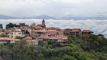 Private Full-Day Tour to Kakheti Wine Region 