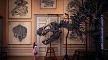 Art Zoo Museum Amsterdam Tickets
