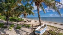 Puerto Morelos and Cenote with Snorkeling Tour from Cancun