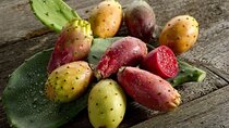 Mexico's Tropical Fruit Guided Tasting in Mexico City