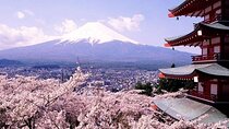 Mt Fuji and Izu Deep View 2 Day Tour from Tokyo