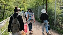 Istanbul Self Guided Walking Tour 