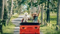 Bali ATV Ride Combbine Ubud Tour With clasict car (VW)