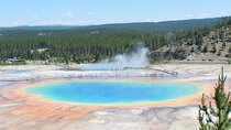 San Francisco to Yellowstone and Las Vegas 7-Day Tour