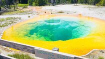 Salt Lake City to Yellowstone and Mt Rushmore 4 Day Tour