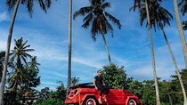  Explore Bali with Private ATV