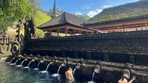 Ubud Tour Monkey Forest, Rice terrace, spring water temple & more